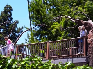 Teens group up for 1 final ass whooping