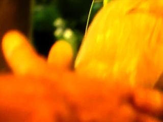 Blonde Stripper babe in Hardcore Fucking Enjoyable