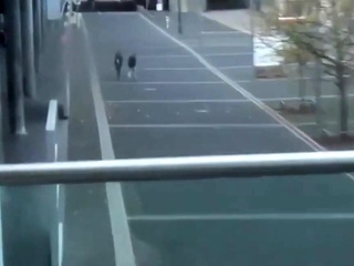 Lena Loch kanns nicht lassen