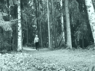 suomalainen vilkkuja