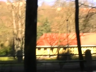 Chick licks and sucks a difficult dong then rides it wildy