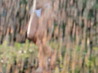 wistys – Gizelle Blanco