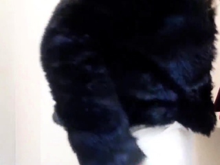 Amateur fucking even though on hidden cam