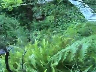 Topnotch lady acquiring rammed