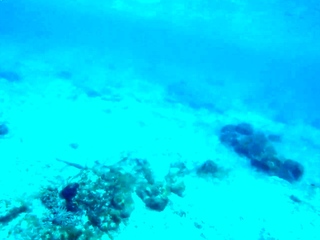 Attractive brunette in attractive solo fingering masturbation two wmv