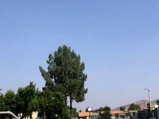 Blonde amateur enjoys the feeling of masturbating outdoors