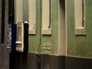 Brunette and blonde slut shares significant cock hardcore