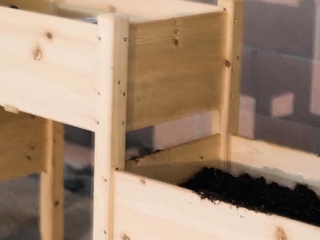 Charlottes worst nightmare may well but come