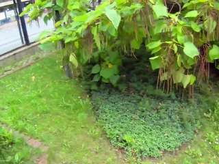 Cheating gal cuckolds her guy and fucks with a single extra a single