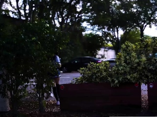 Slutty Skippers Gone Horny and Terrible with the Guard