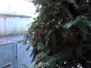 ffentlicher Fick mit deutscher Blondine