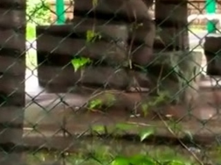 Fucking my asian girlfriend on hidden cam