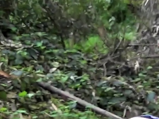 Mates Come across A Quiet Park To Lick and Finger