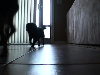 Carolyn Reese masturbates