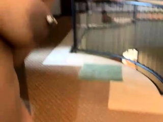 CIMA black and ebony