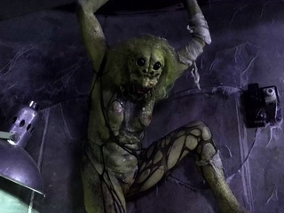 HORRORPORN – Female spider