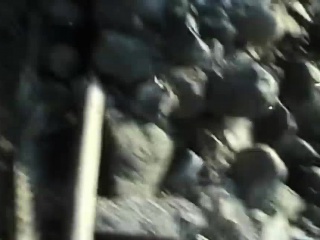 They ditch the celebration for out of doors intercourse