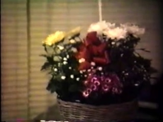 Group Intercourse and Hardcore Fucking Events