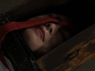 Ravishing darling will get her clean butt whipped brutally