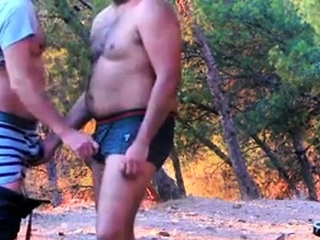 Novice cruising within the woods