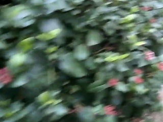 Public Striptease and Blowjob in a metropolis Park