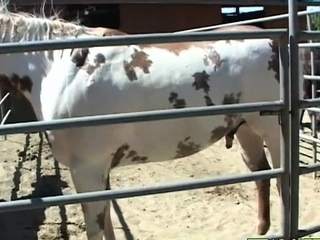 Teen will get her snatch fingered and fucked by previous chap