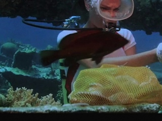 Mr Skins Favourite Nude Scenes 1977