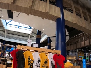 Novice Thai lady picked up and fucked