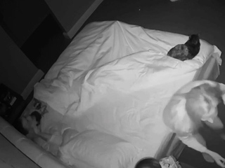 IPCAM – German married couple fucks wildly