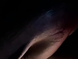 Latina Slut Sucking Exhausting Cock