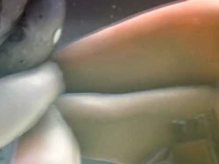 Mixture of Hentai movs from Hentai Niches