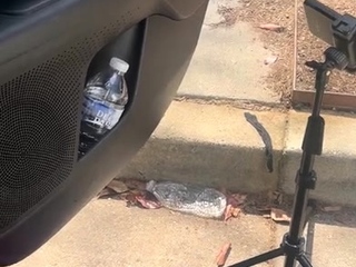 Hot amateur european foot and pantyhose fetish