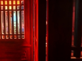 tifa gets it in both holes radroachhd