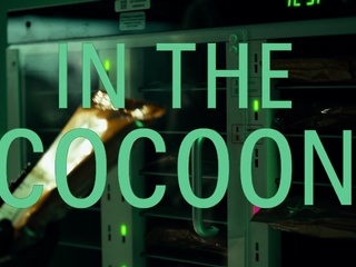 Hentaied – In The Cocoon