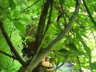 Hooker Gives Wild BJ and Sex in the Woods